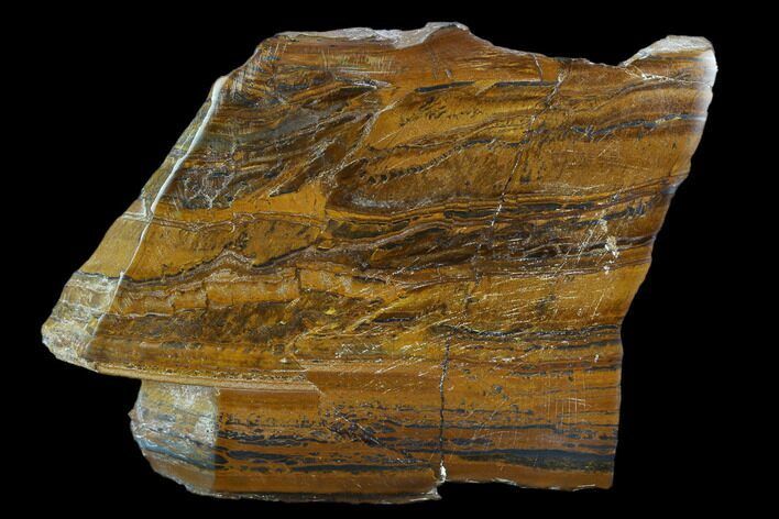 Polished Tiger's Iron Section - South Africa #128507